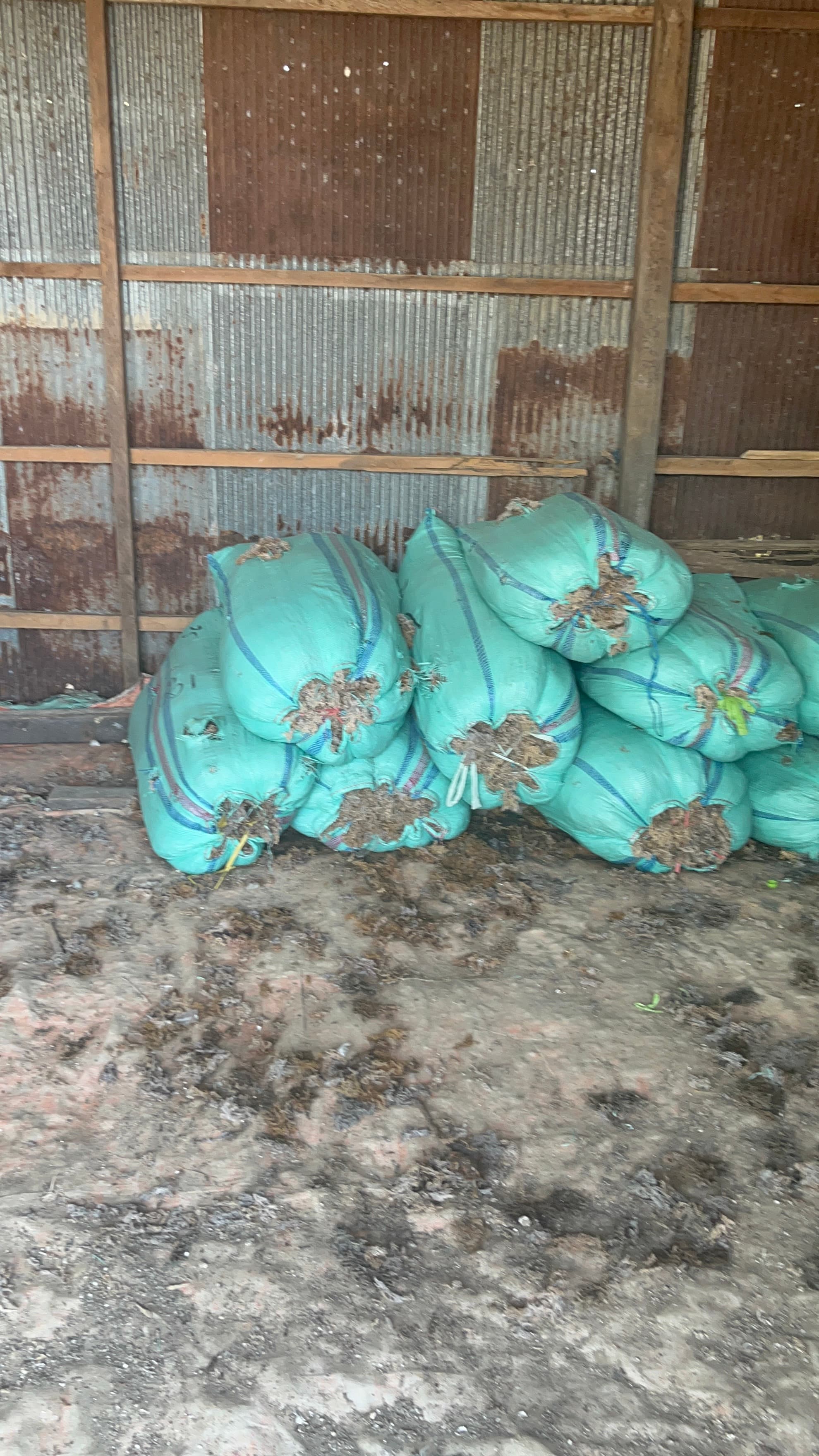 Seaweed from Tarakan